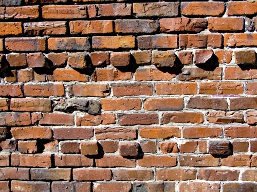 Brick Wall