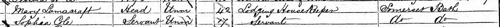 1871 England Census for Sophia Cole in Bath, Somerset, England